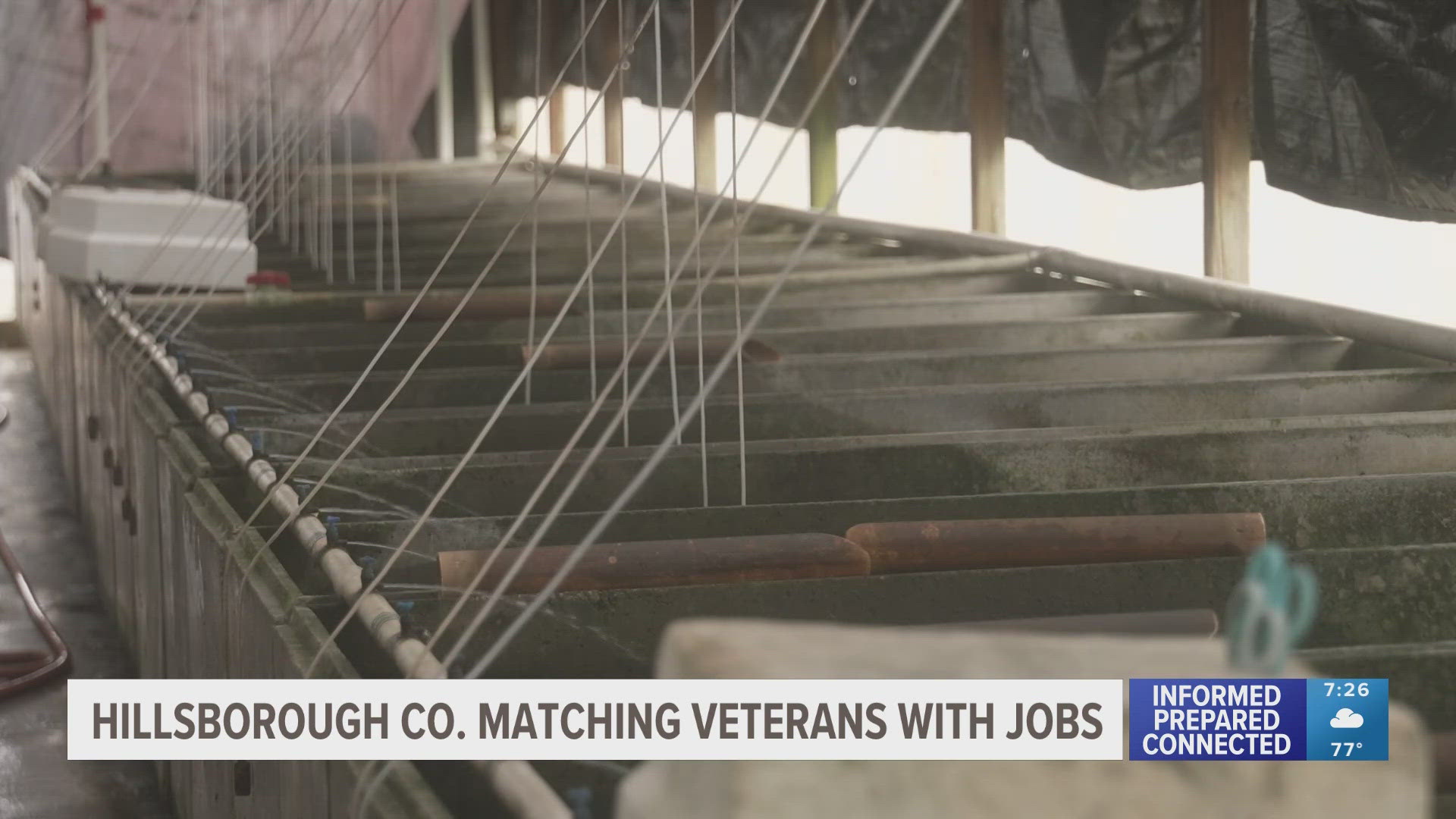 Hillsborough County has a specific program dedicated to helping retired military find civilian jobs.