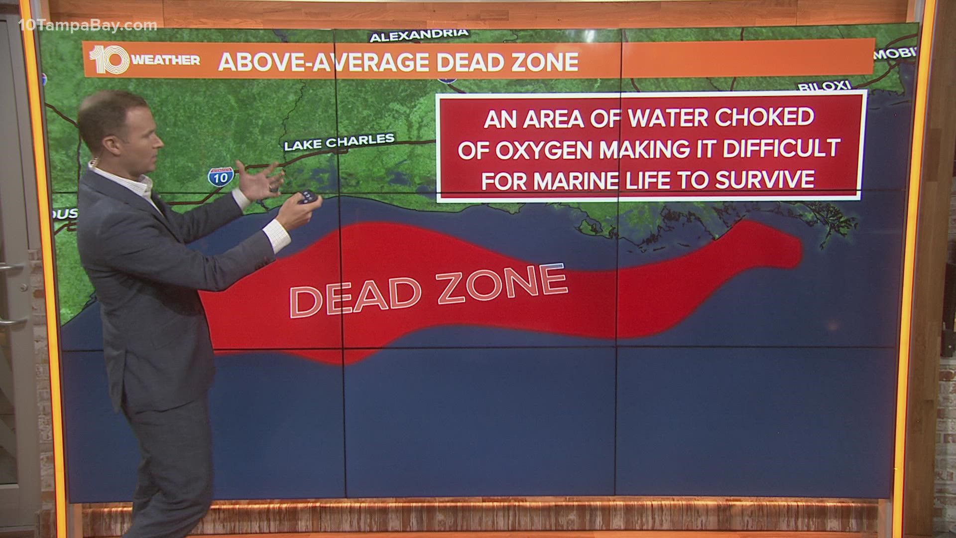 A "dead zone" is an area of low to no oxygen that can kill fish and other marine life.