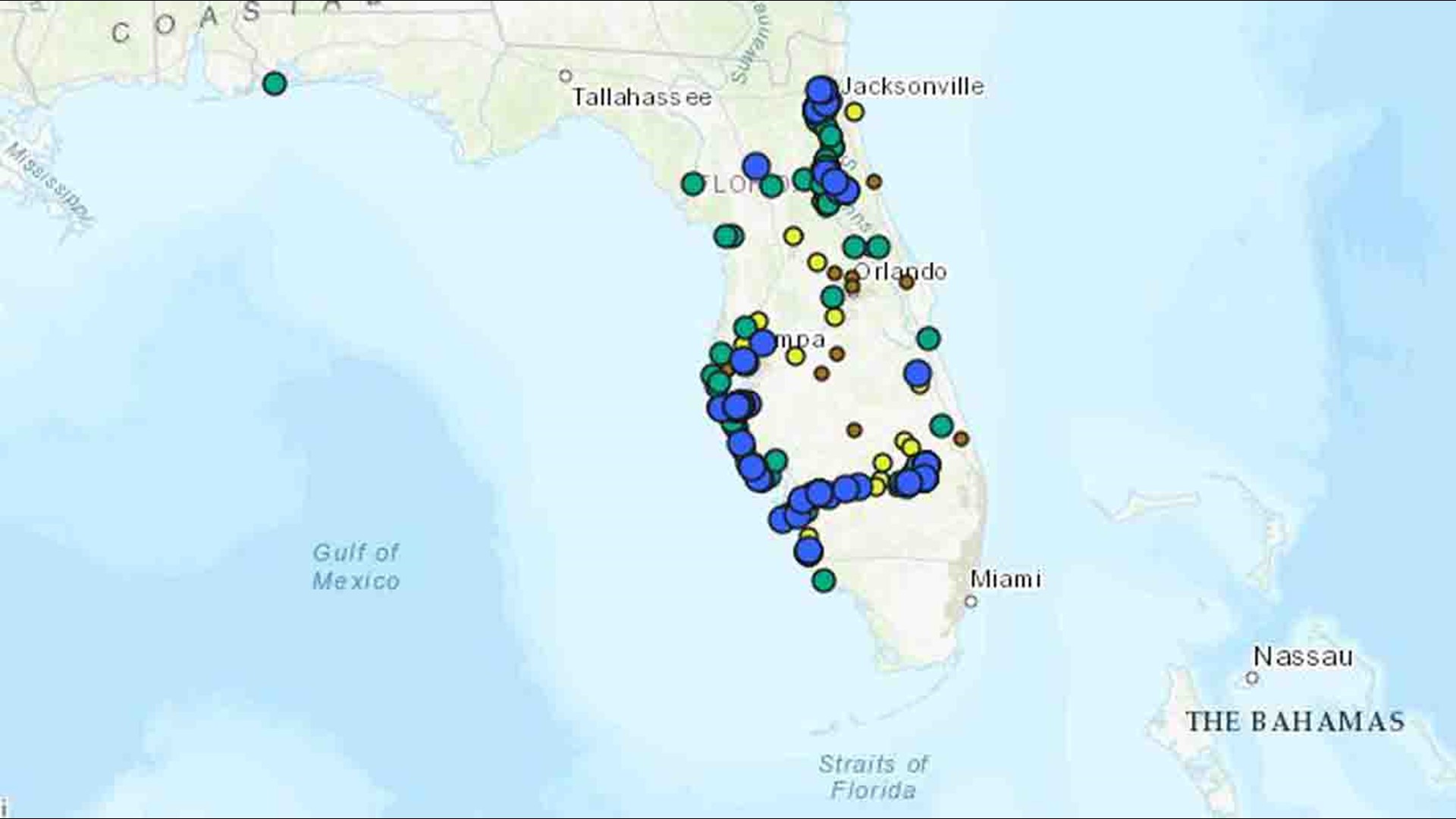 Algae blooms on the rise across Florida, Tampa Bay area | wtsp.com