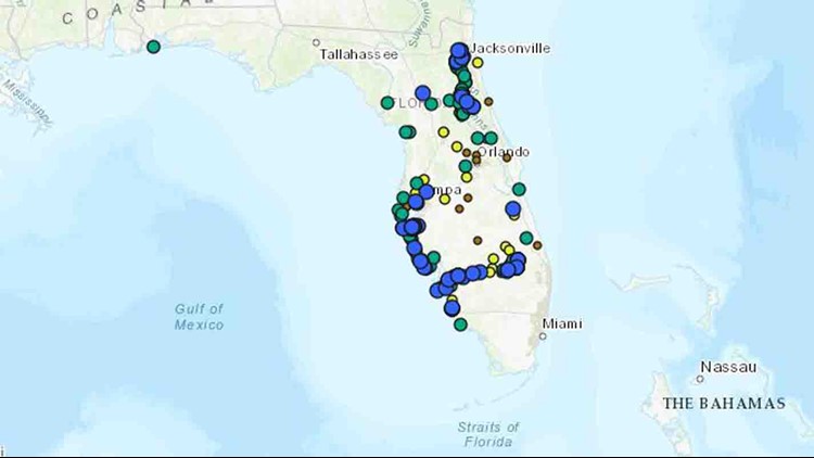 blue green algae florida map Algae Blooms On The Rise Across Florida Tampa Bay Area Wtsp Com blue green algae florida map