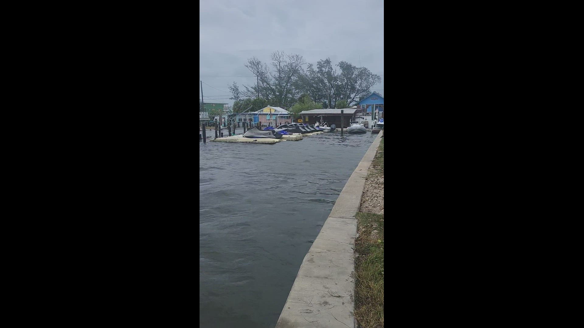 Hurricane Idalia | Cortez, FL | wtsp.com