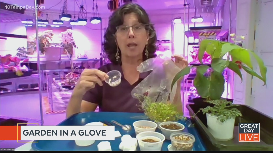 Science experiments with the KSC - Vimarsana News