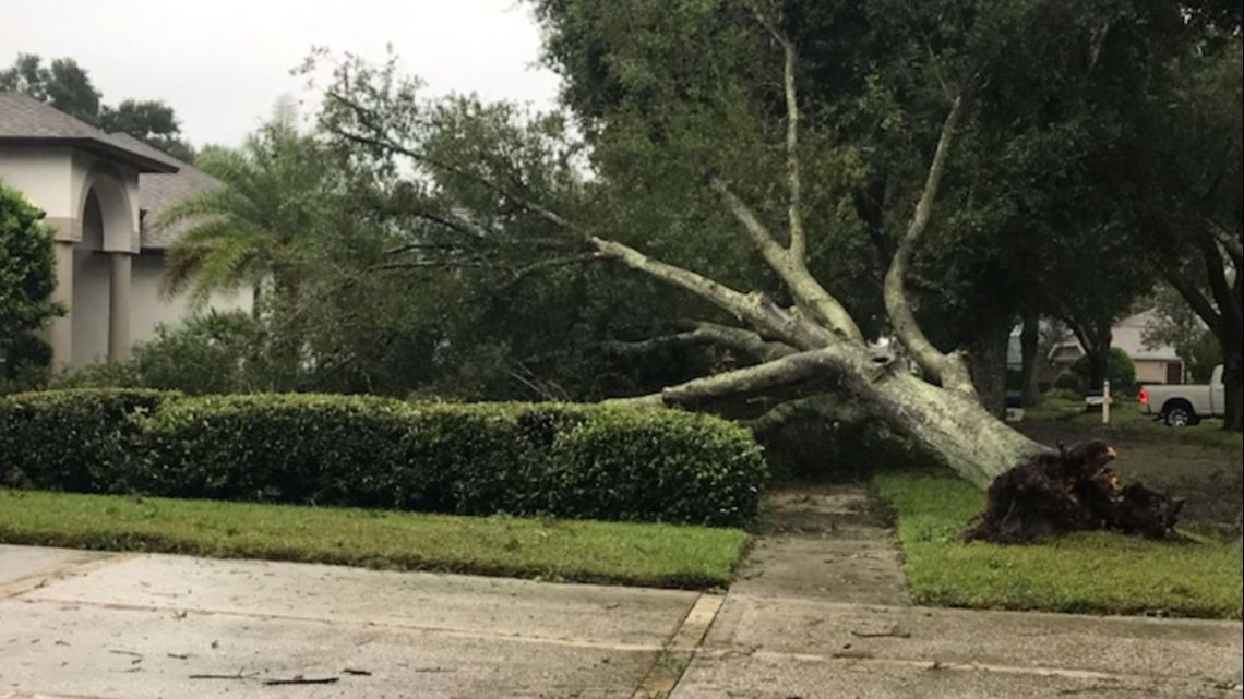 PHOTOS: Damage from Hurricane Ian | wtsp.com