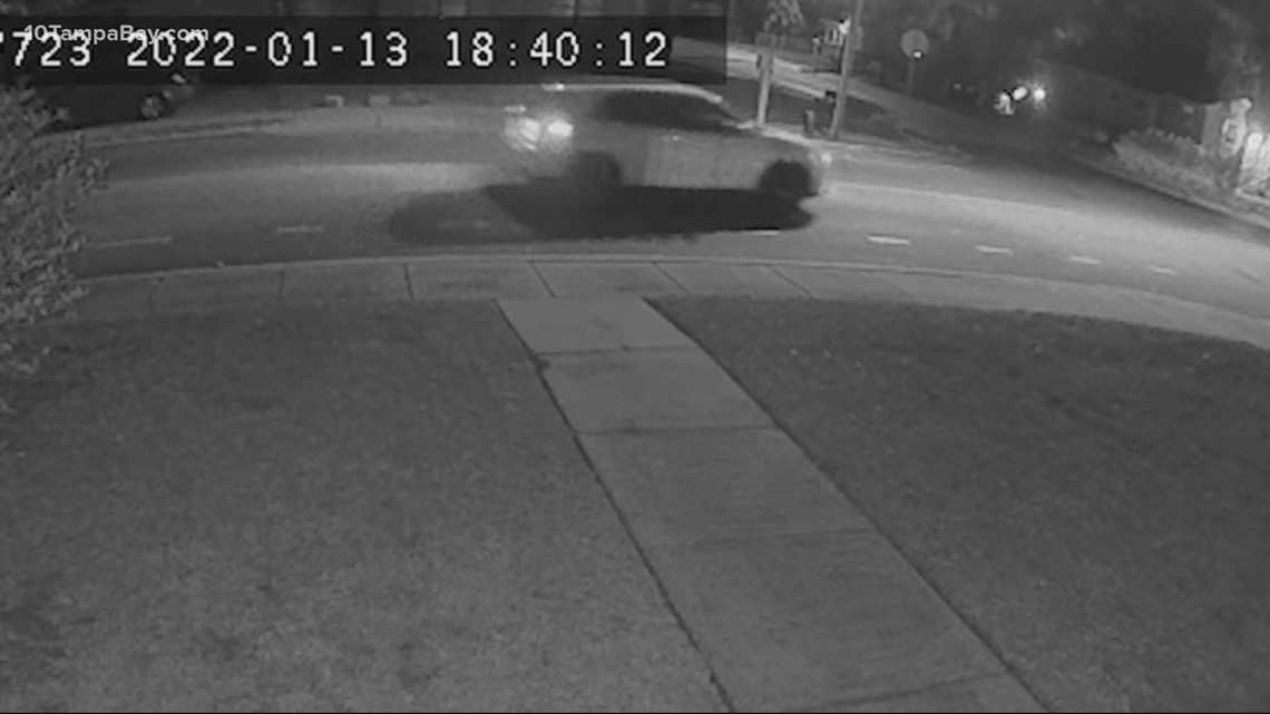 Hit and run cases soared last year across the Tampa Bay area - Vimarsana News