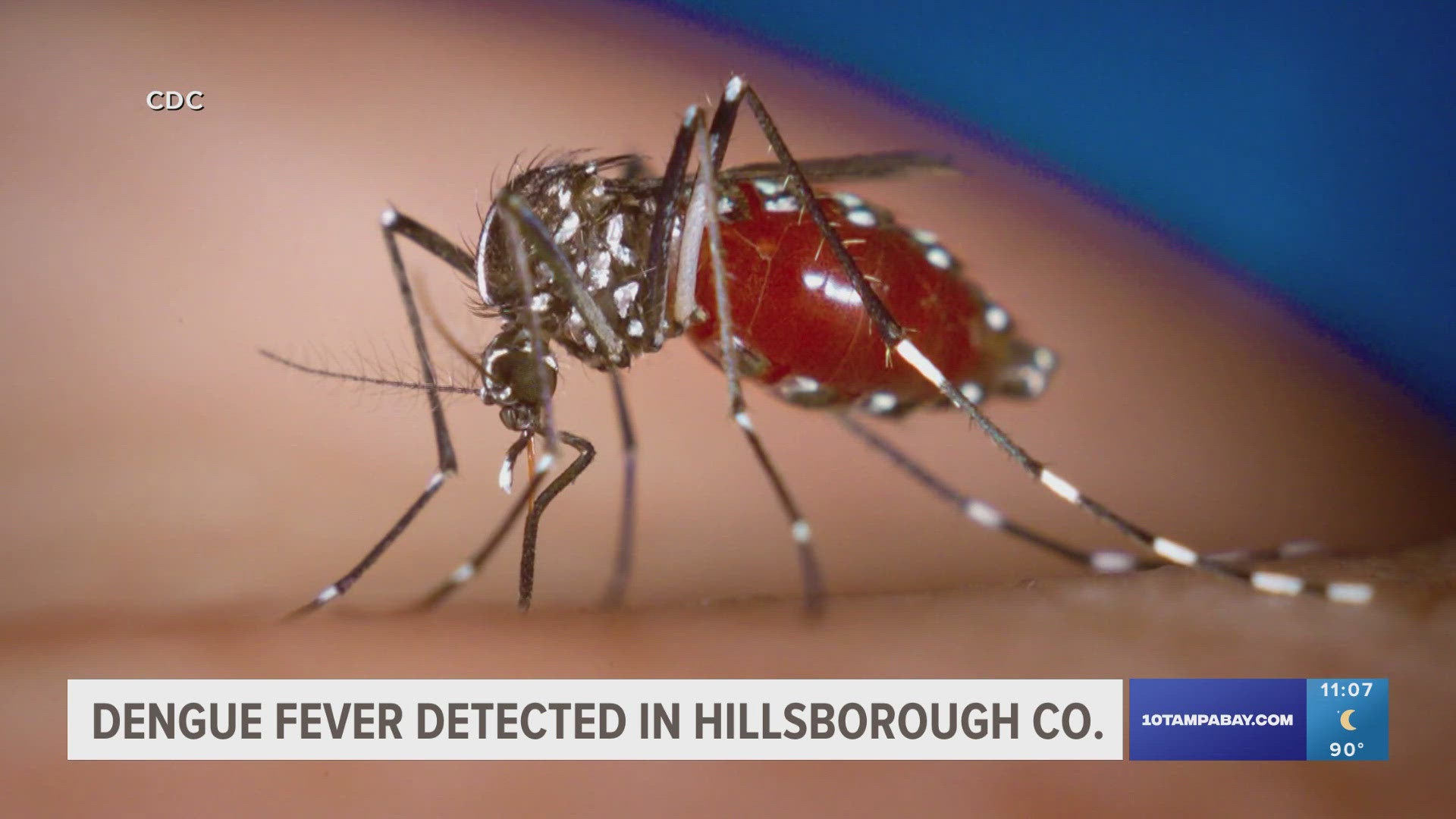 At this time, DOH-Hillsborough and Hillsborough County Mosquito Control are conducting aerial spraying to help prevent the spread of the viral infection.