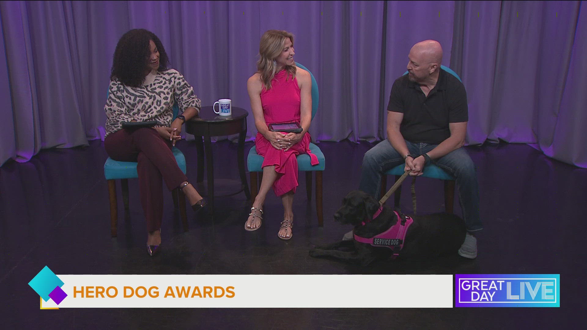 Help 'Justice,' a Tampa Bay service dog, receive the Hero Dog Award. Vote for her by visiting herodogawards.org.