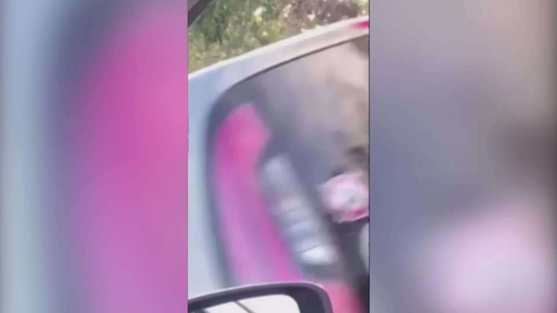 Cell phone video shows a young girl imitating her parents and getting out of a vehicle with her arms raised after police pulled over the pick-up truck in which she was riding.