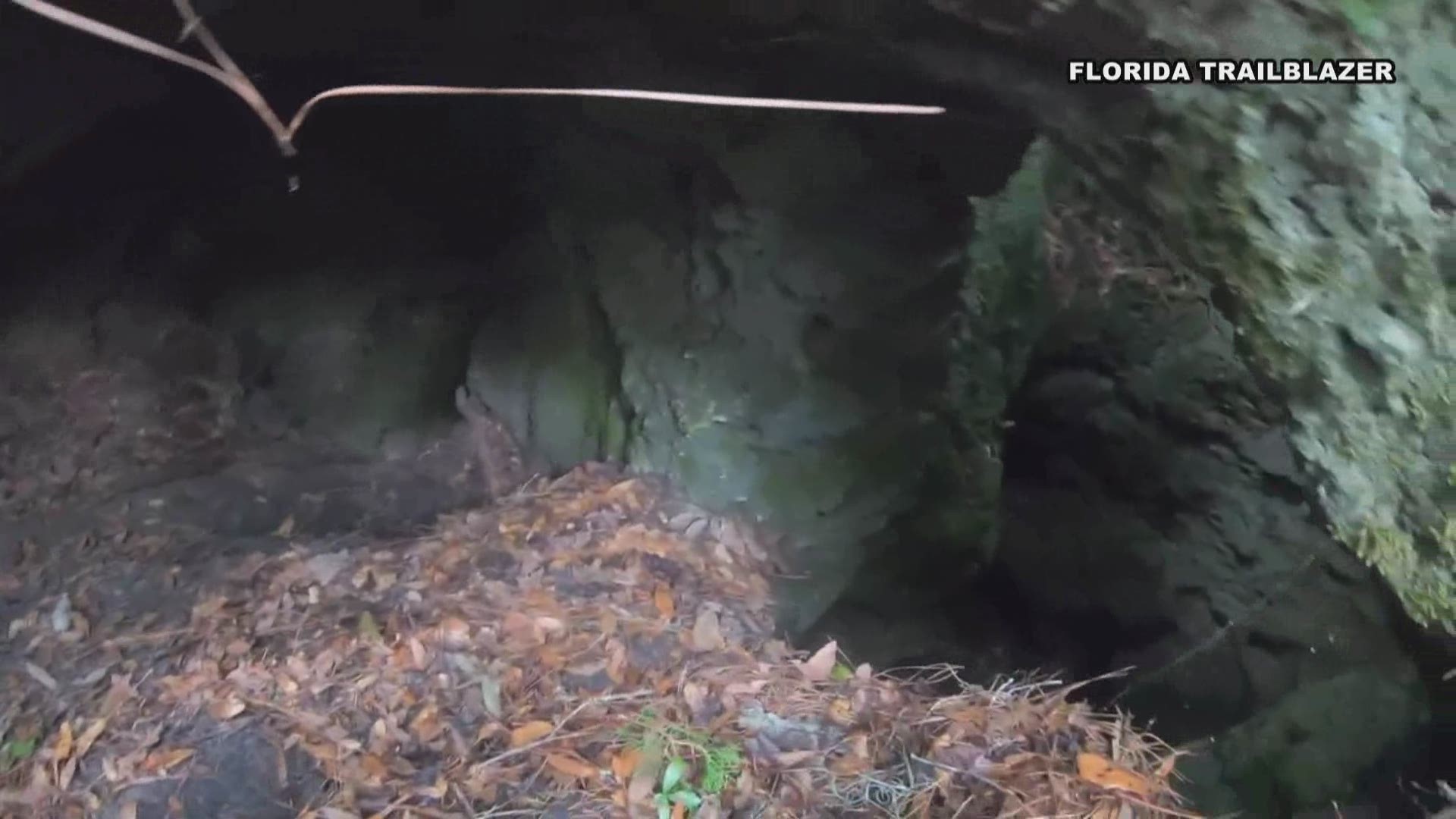 Florida Trailblazer took this video of a dog trapped in a cave and its rescue.