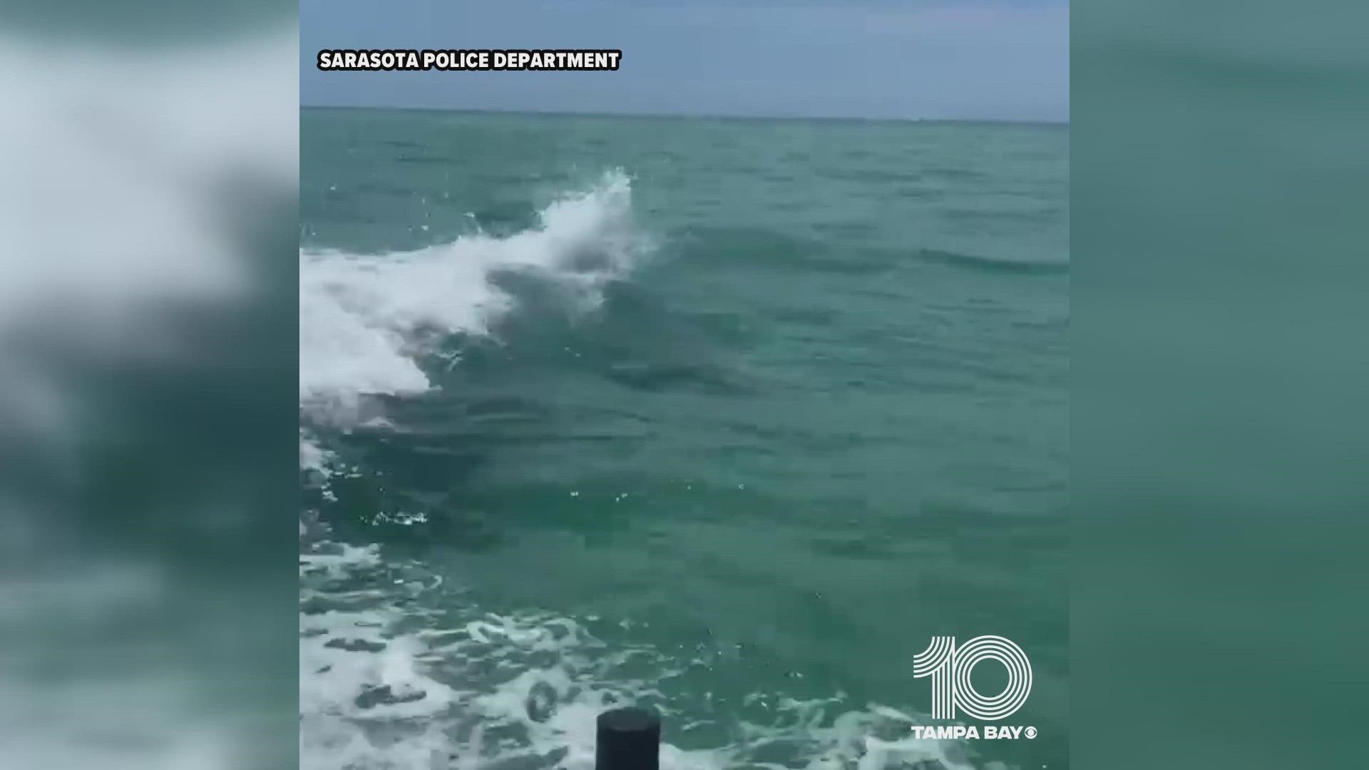 The video was captured near North Lido as the boat headed into New Pass.