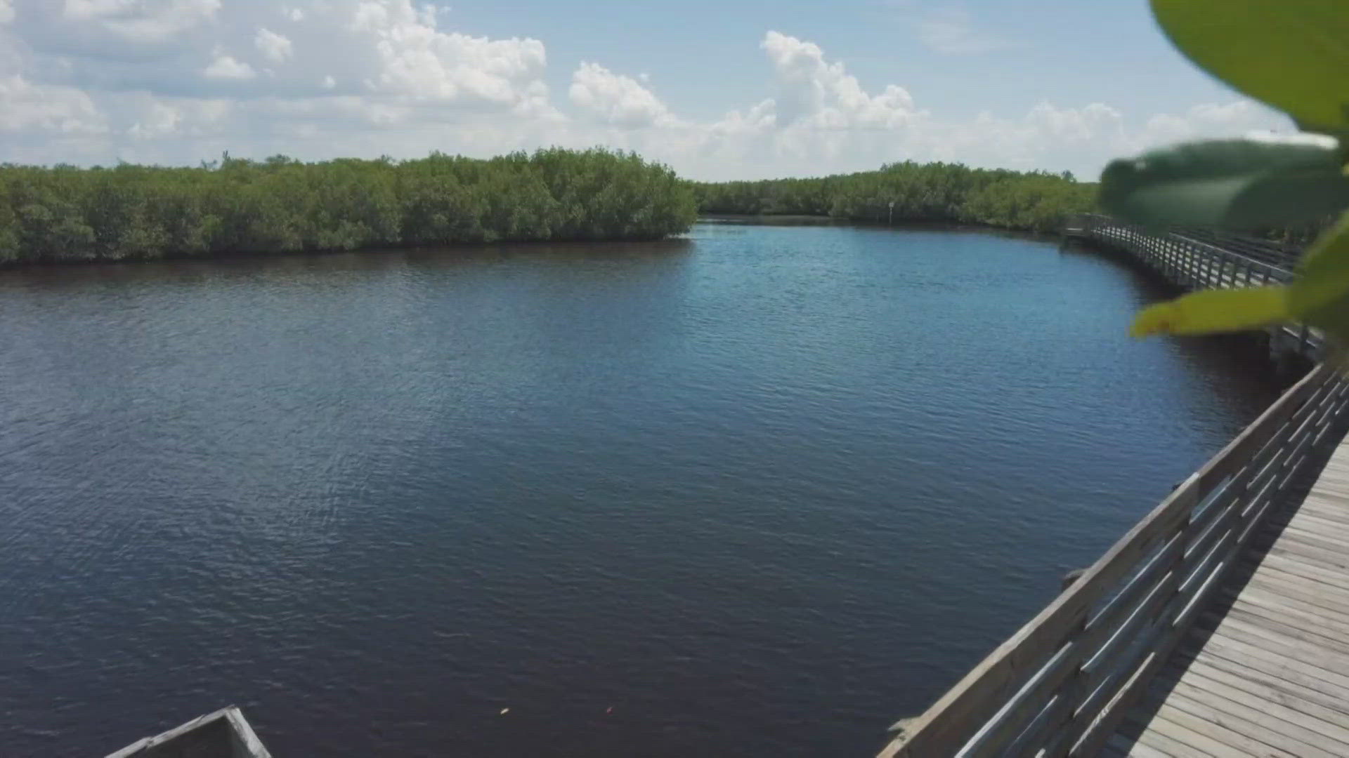 Water samples will go to a lab at the University of South Florida to determine what kind of waste is in specific locations, nitrogen and industrial heavy metals.