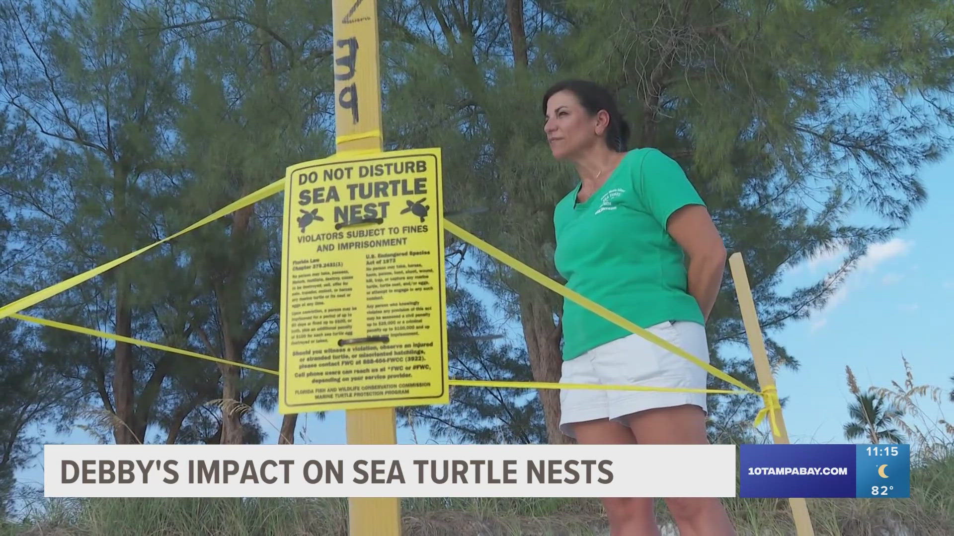 Animal experts are still hopeful for a successful sea turtle season. Here's why.