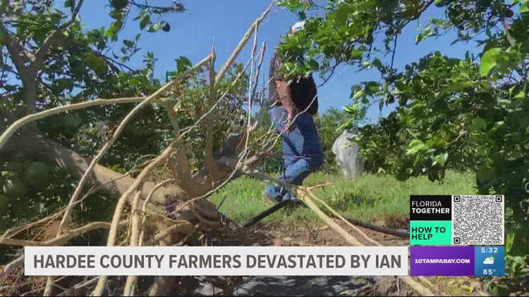Farmers in Hardee County face obstacles after Hurricane Ian ruins crop