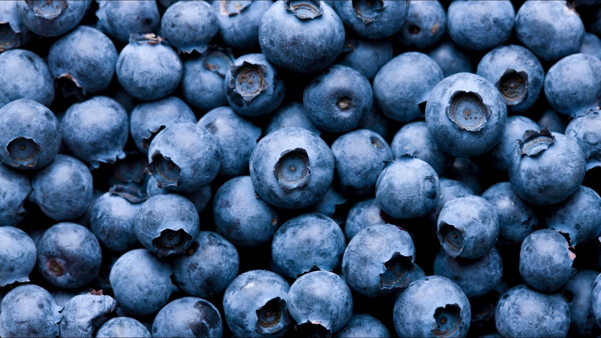 Lawsuit alleges Largo woman died from eating contaminated frozen blueberries sol...