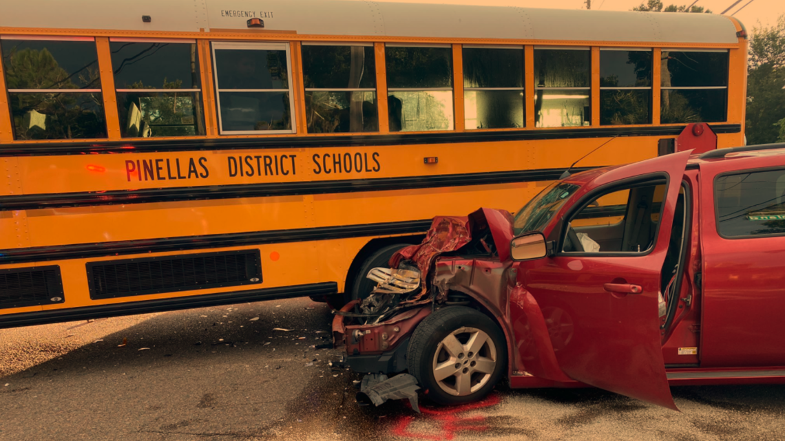 Clearwater school bus crash sends driver to the hospital | wtsp.com