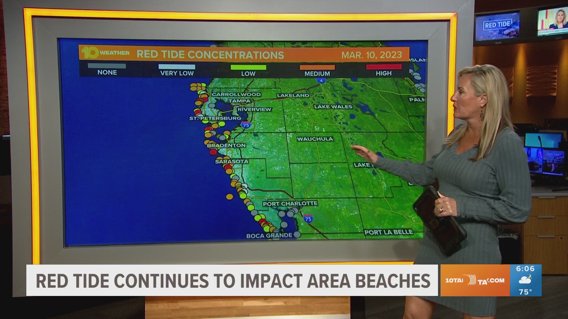 Current red tide conditions include medium to high levels at beaches from Clearwater to Sarasota.