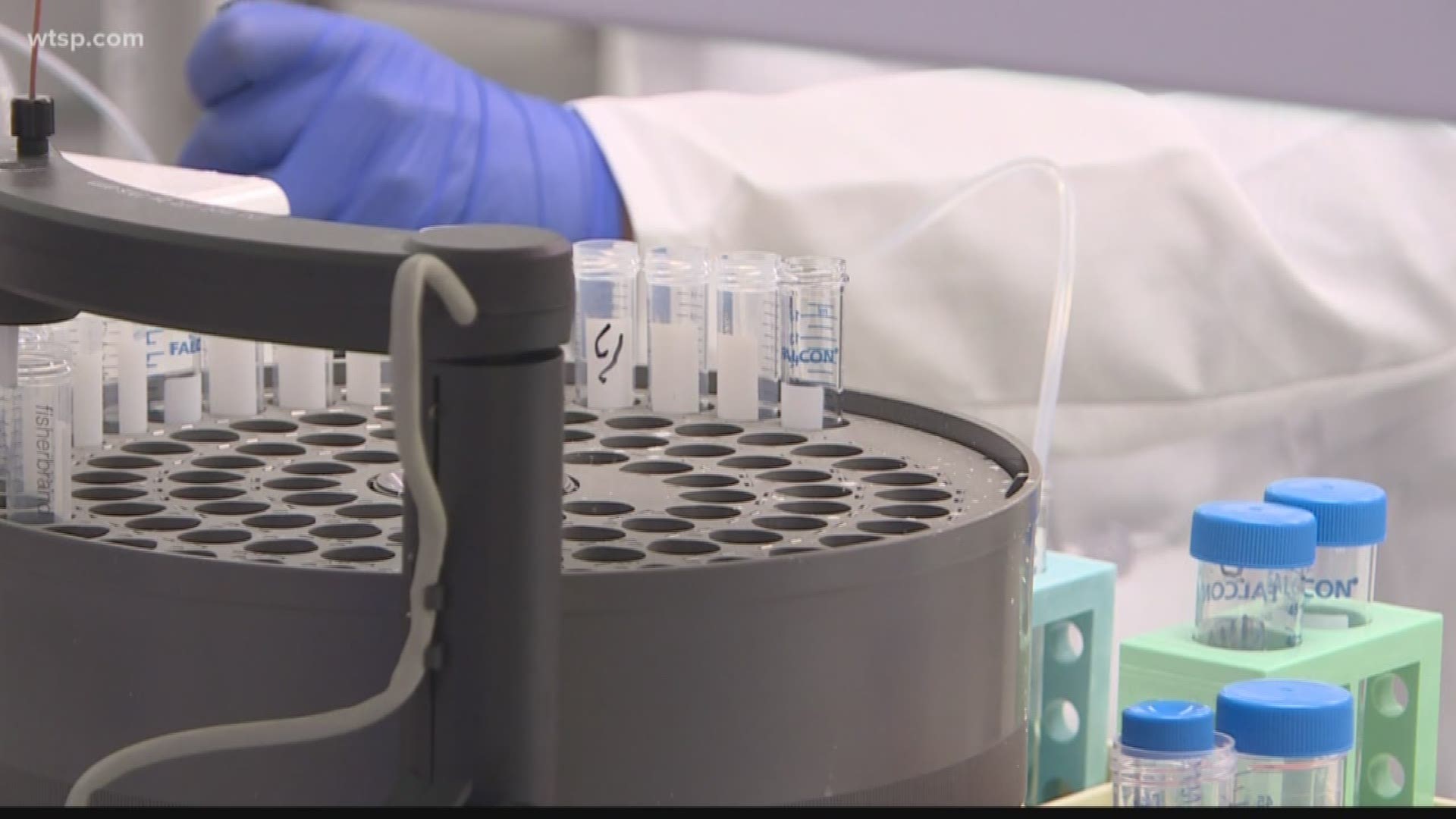 A Tampa-based company has developed a cancer vaccine that's already being tested in humans.

Morphogenesis, Inc. believes it can use the body's own immune system to fight the disease.