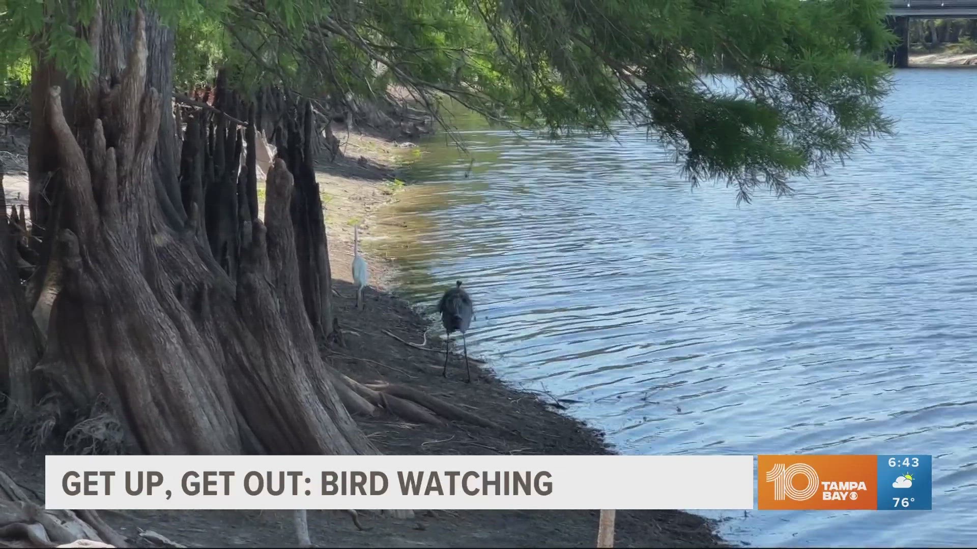 Bird-watching is a great way to get out in the community and experience nature.