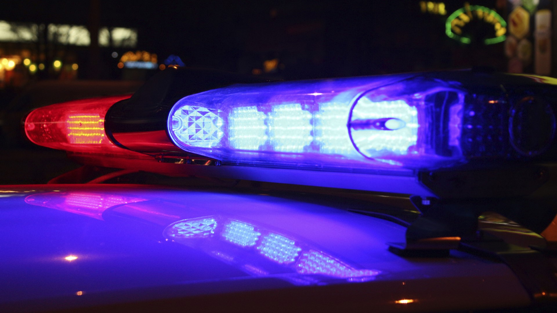 Pedestrian hit, killed by car in Tampa | wtsp.com