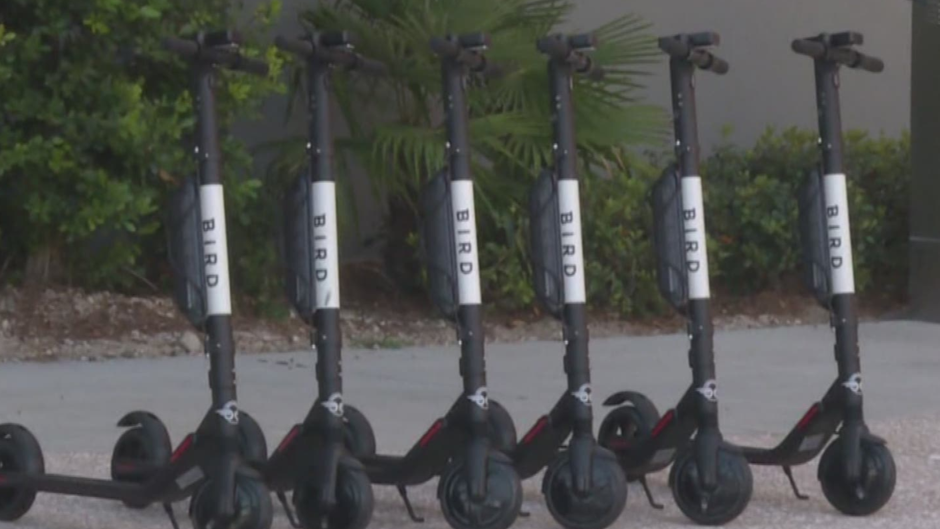 The city of Tampa launched its electric scooter pilot program over the weekend. City officials had postponed the launch of the pilot program several times. https://on.wtsp.com/2I1uBJo