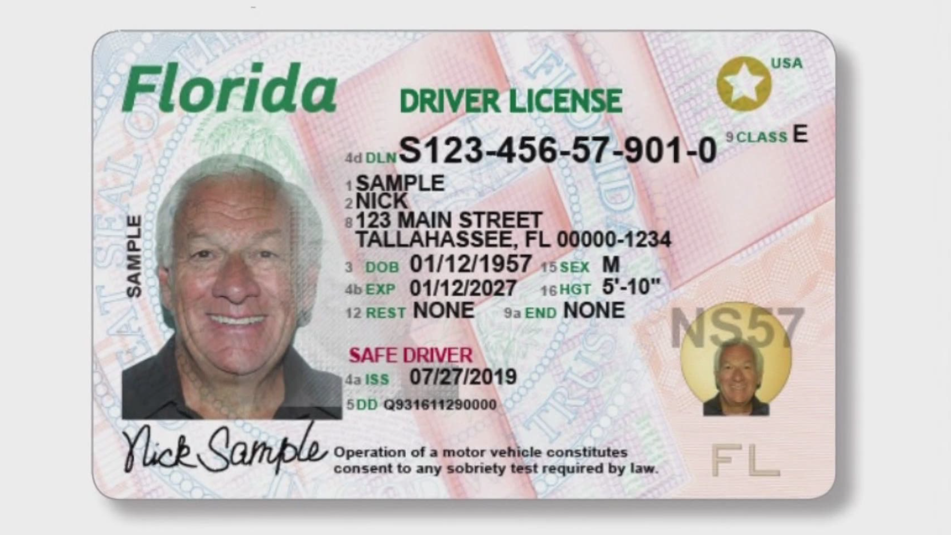 florida drivers license check online