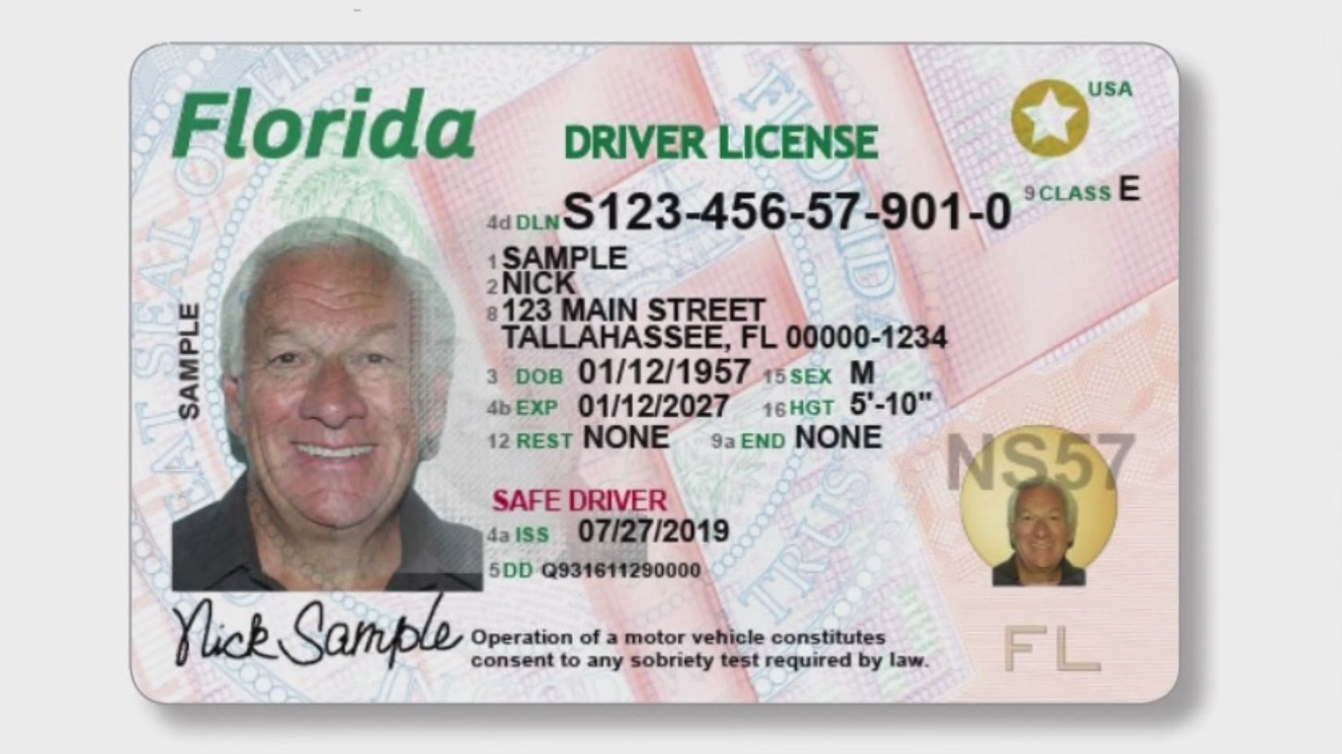 dmv florida driver license check status