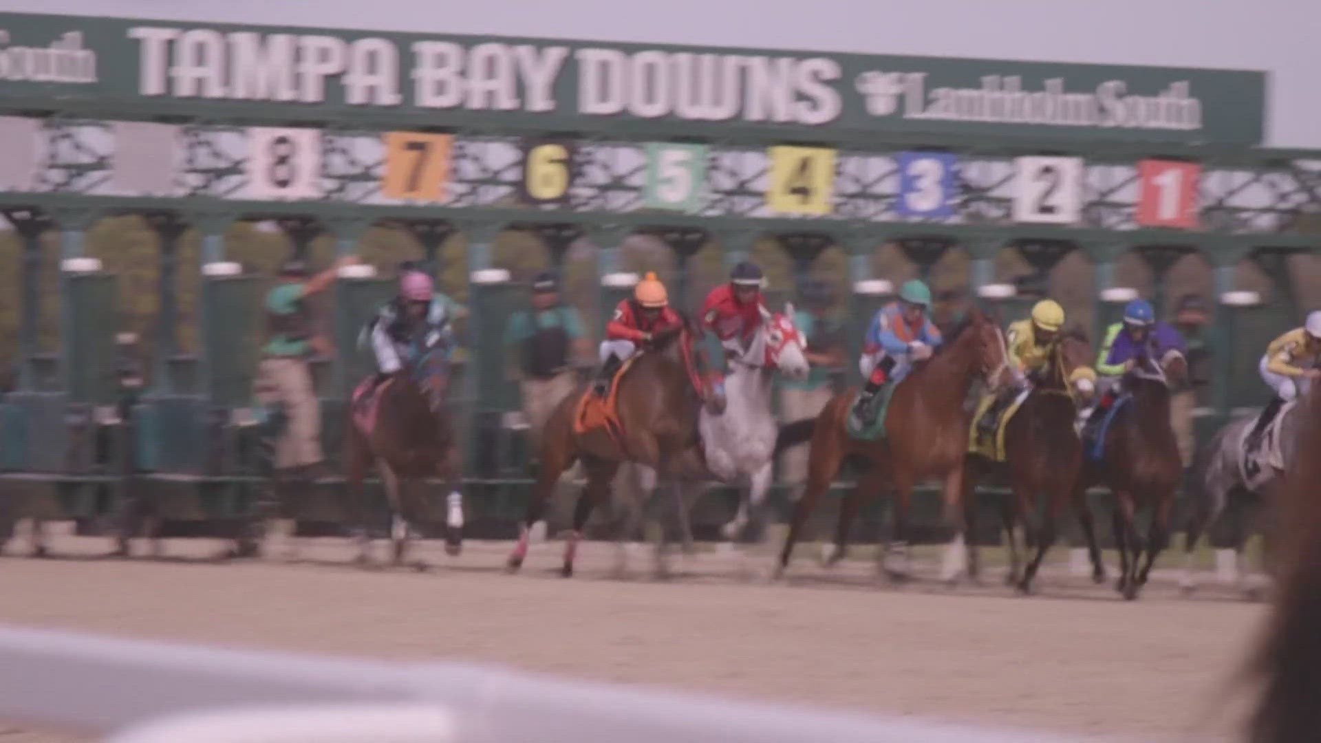 The bill's sponsor argued it would allow tracks to make independent decisions about their operations without being forced to maintain unprofitable live racing.