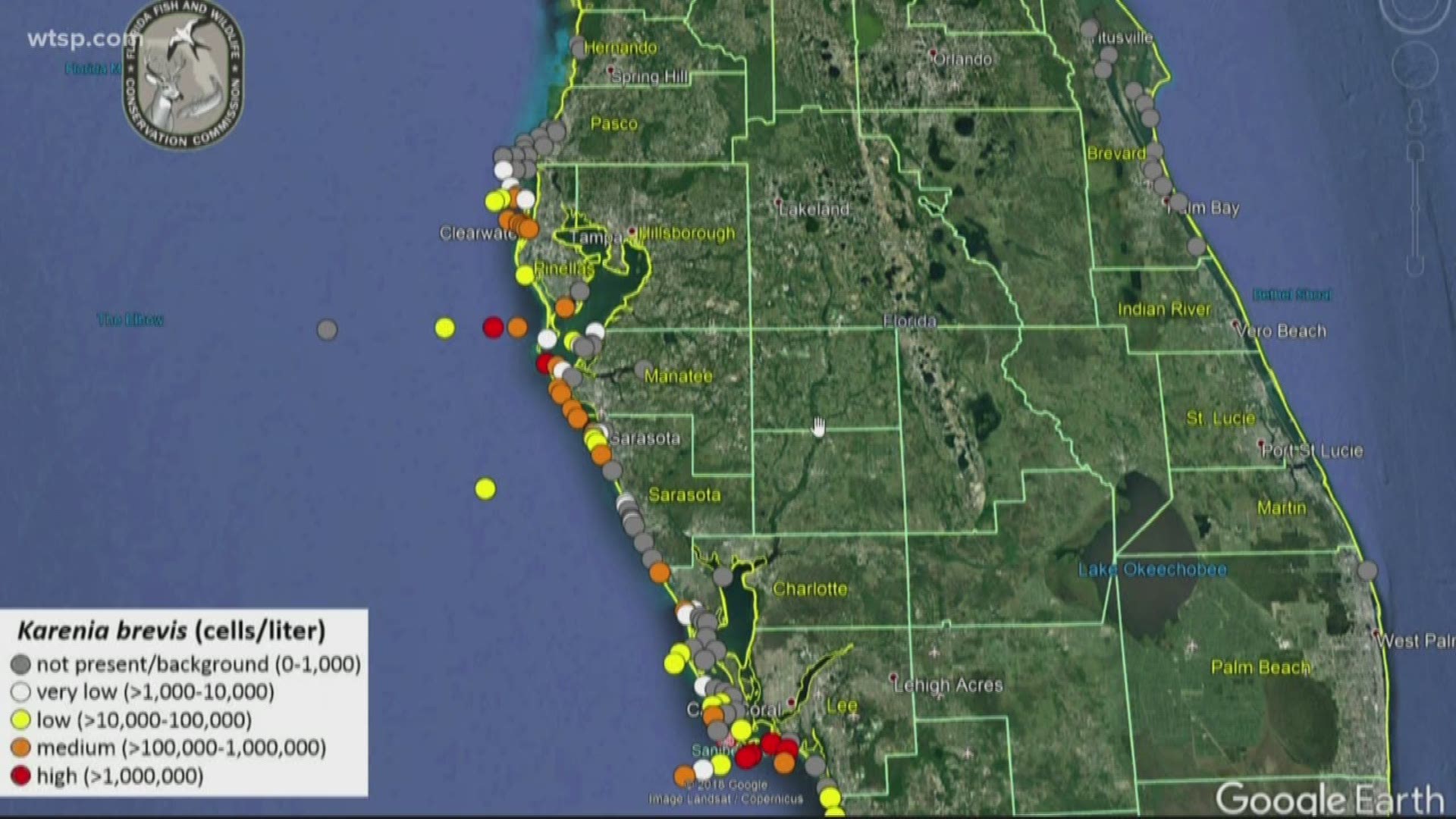 Red Tide Map Naples Lower Concentrations Of Red Tide Found In Pinellas, Manatee, Sarasota  Counties, Fwc Map Shows | Wtsp.com