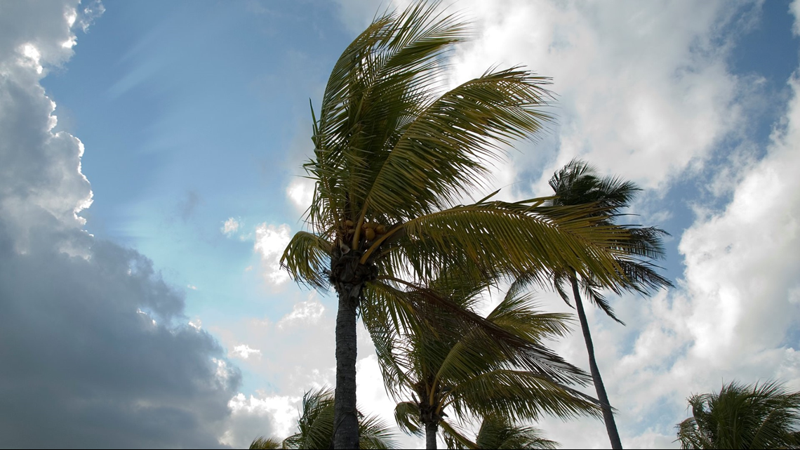 What's a tornado watch? Florida under advisory Thursday | wtsp.com