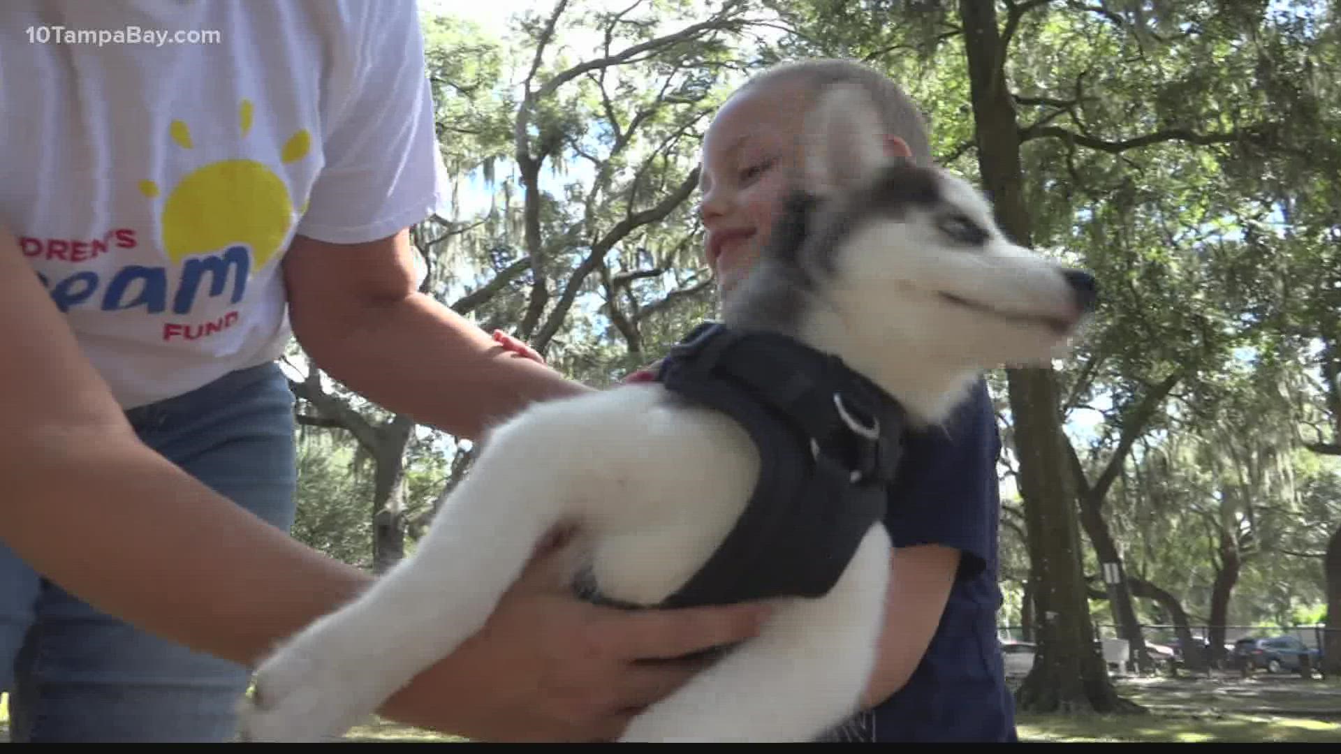 David had been asking his family for a puppy daily since his cancer diagnosis. He doesn't have to wait any longer thanks to a Tampa Bay outreach.