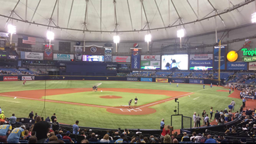 Tropicana Field Seating Chart View
