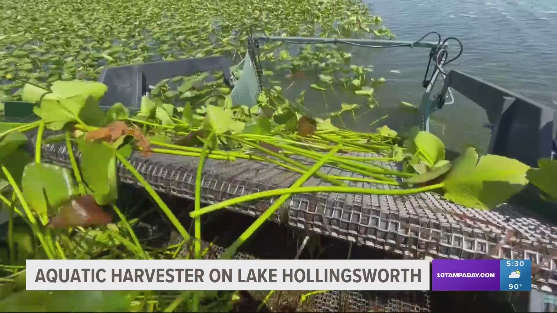 This is the first time the city has deployed the aquatic harvester on Lake Hollingsworth.