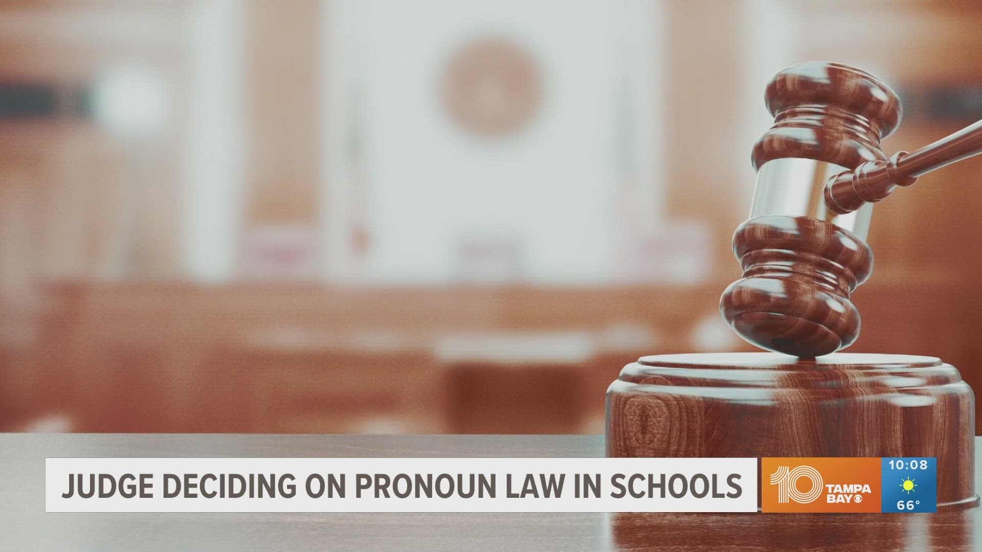 A transgender Hillsborough County County teacher and others are challenging the state of Florida over a law that restricts educators from using personal pronouns.