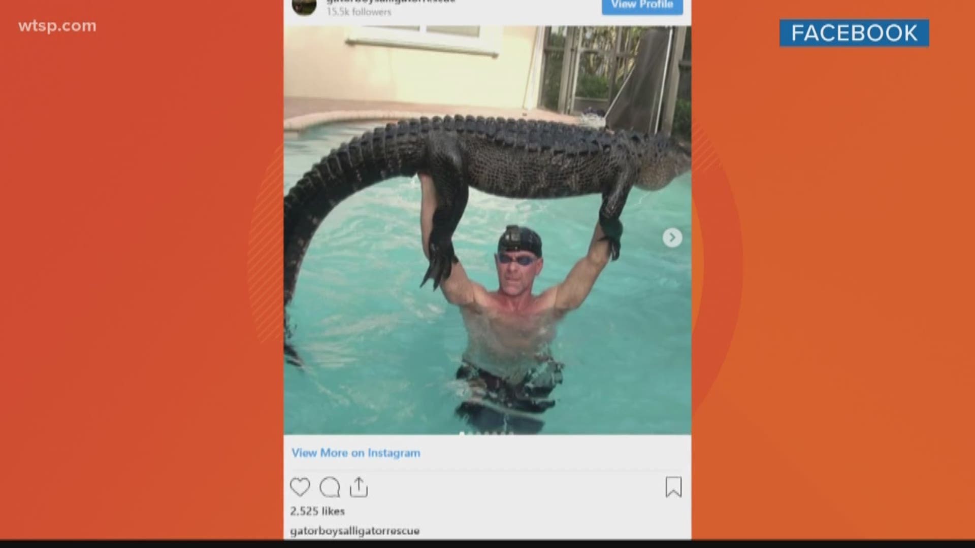 A South Florida man joined an alligator in a swimming pool to coax it out. Paul Bedard of Gator Boys Alligator Rescue posted pictures on Instagram of his removal of
