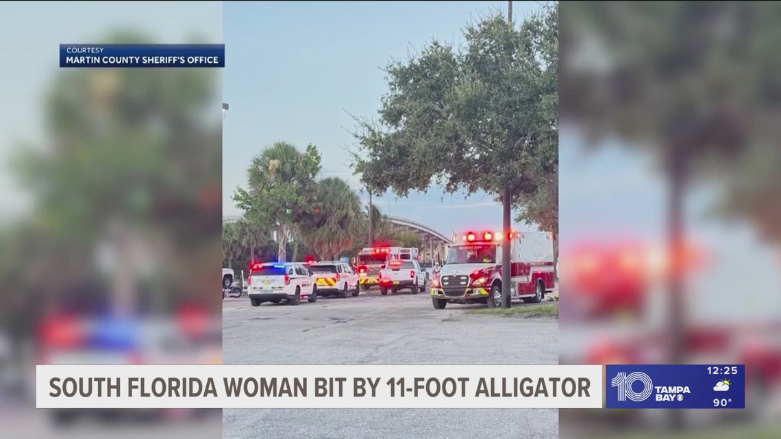 South Florida woman bit by 11-foot alligator