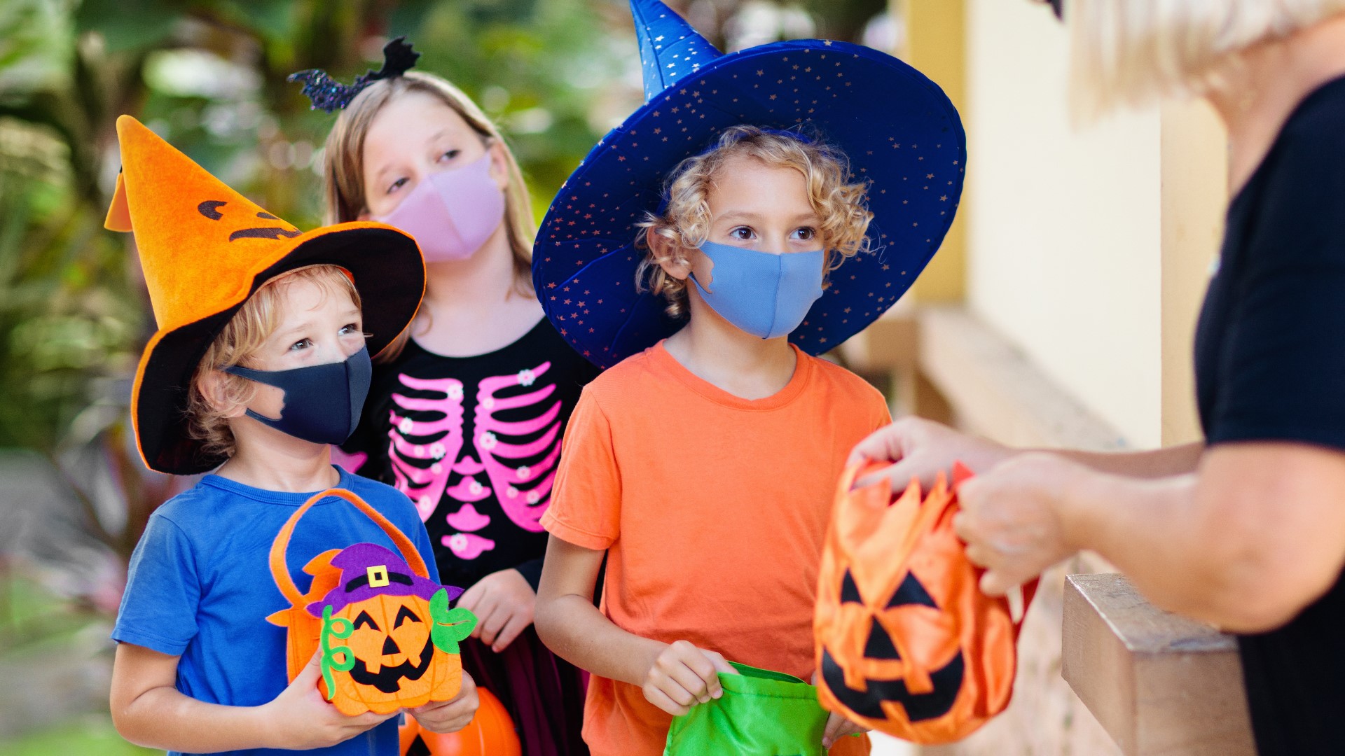 Halloween events around the Tampa Bay area
