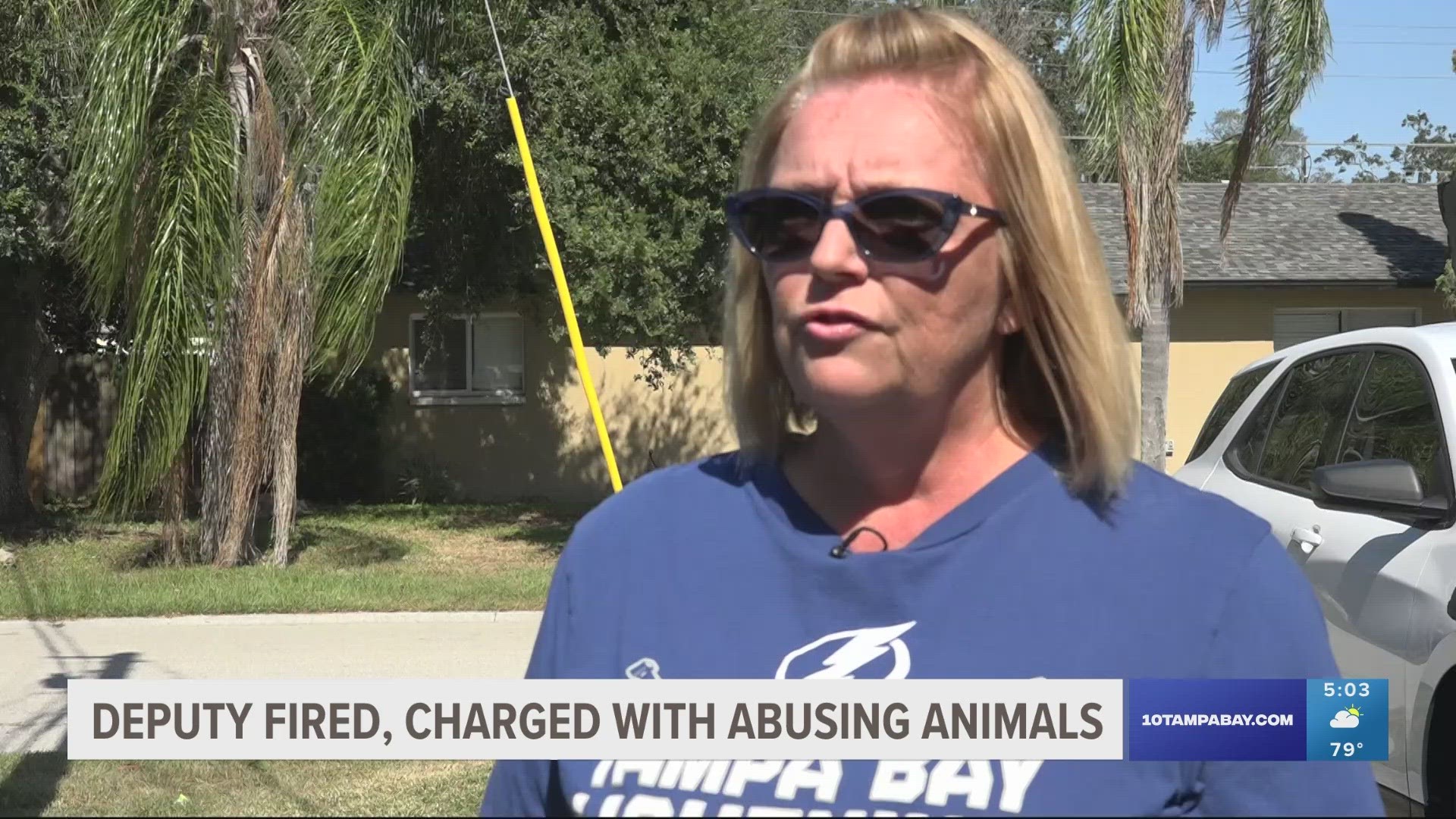 According to the sheriff's office, the man owns a pet-sitting business in Manatee County. Animal welfare confirms it is investigating the business.