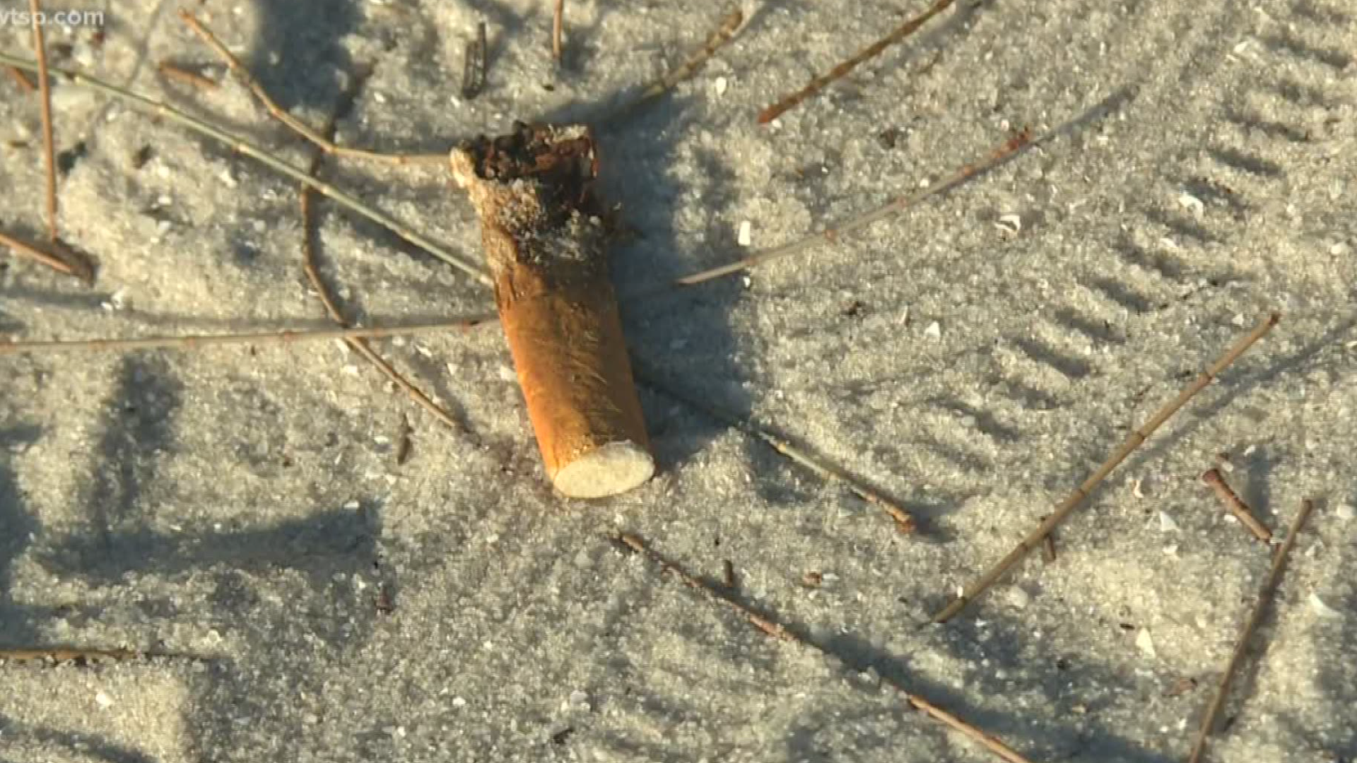 Cigarette butts are primarily made of plastic and that plastic is winding up in our oceans and wildlife.