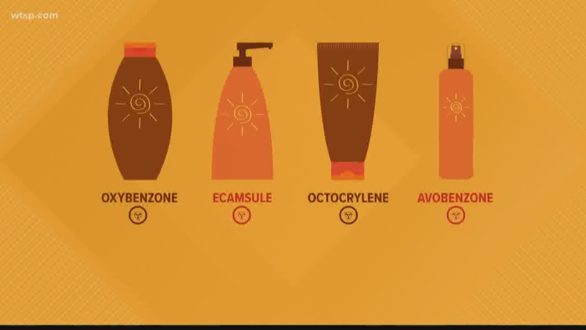 sunscreen chemicals bloodstream