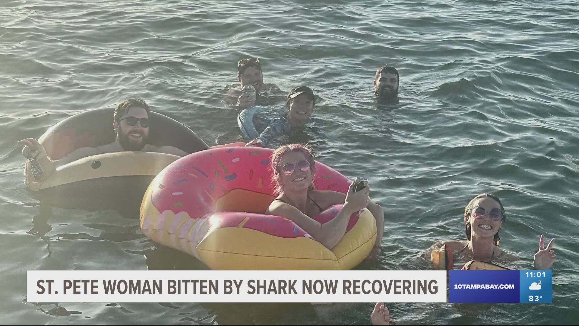 The shark attack happened near the St. Pete Pier last weekend.