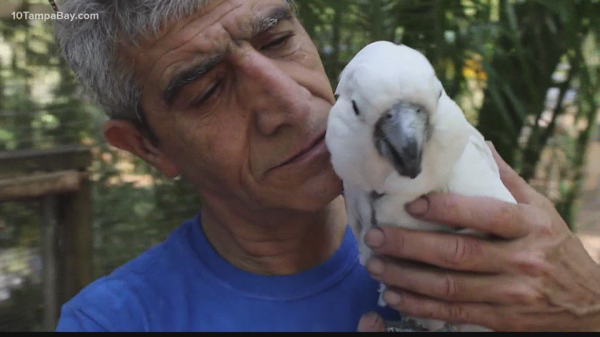 A Tampa author wrote about her love for Zaksee Parrot Sanctuary during the COVID-19 pandemic in hopes of gaining donations for the animal outreach.