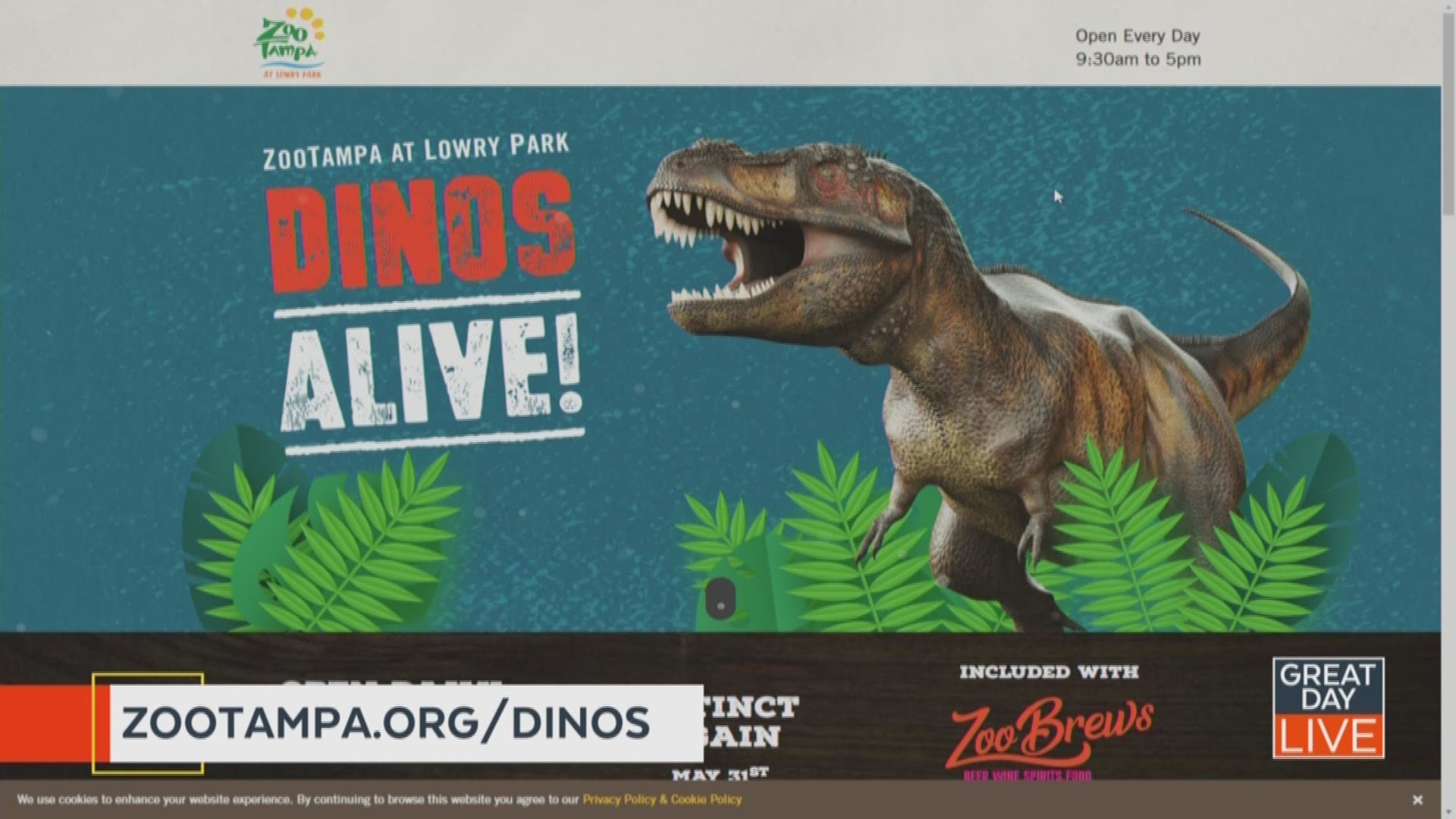 Dinos Alive At Zoo Tampa Wtsp Com