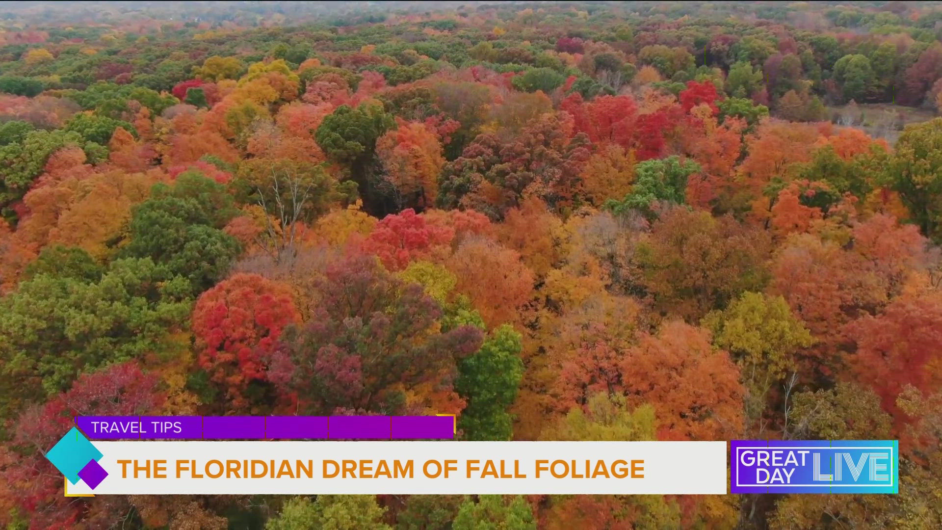 Travel writer Terry Ward joined GDL to give her top picks for cities and states in which to experience fall.