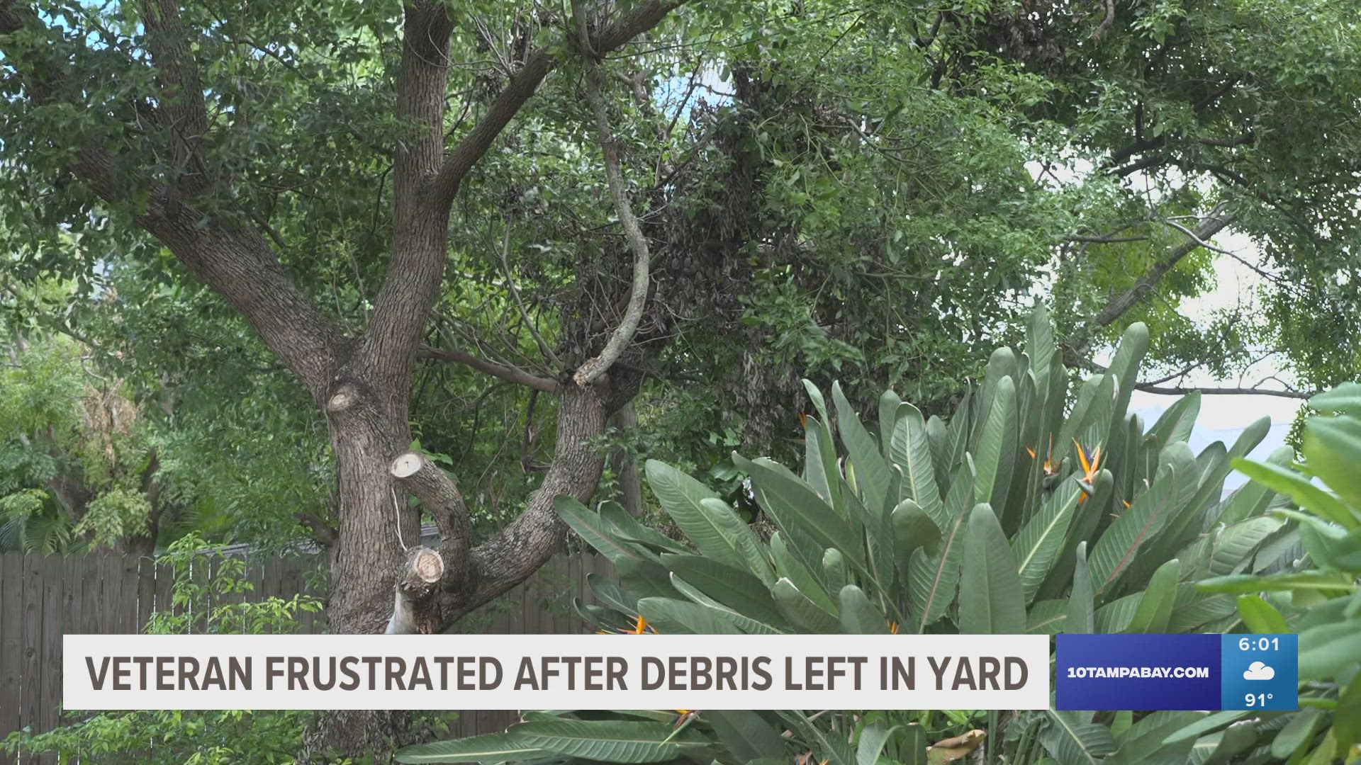 A couple days after the storm, crews were thankfully able to restore power to this neighborhood, but left behind, pounds and pounds of debris in this  backyard.