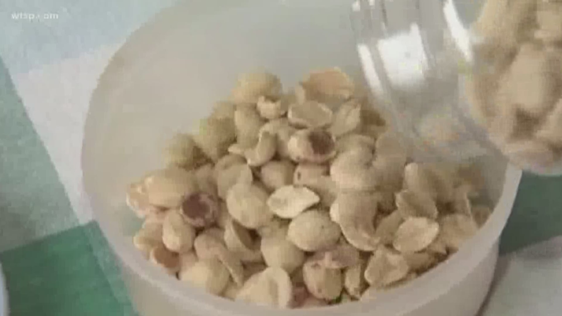 A panel of experts is pushing the FDA to approve the first-ever treatment for children with peanut allergies. The drug is not a cure, rather, it's a daily medication designed to build up a child's tolerance so an accidental exposure doesn't turn into a life-threatening reaction.