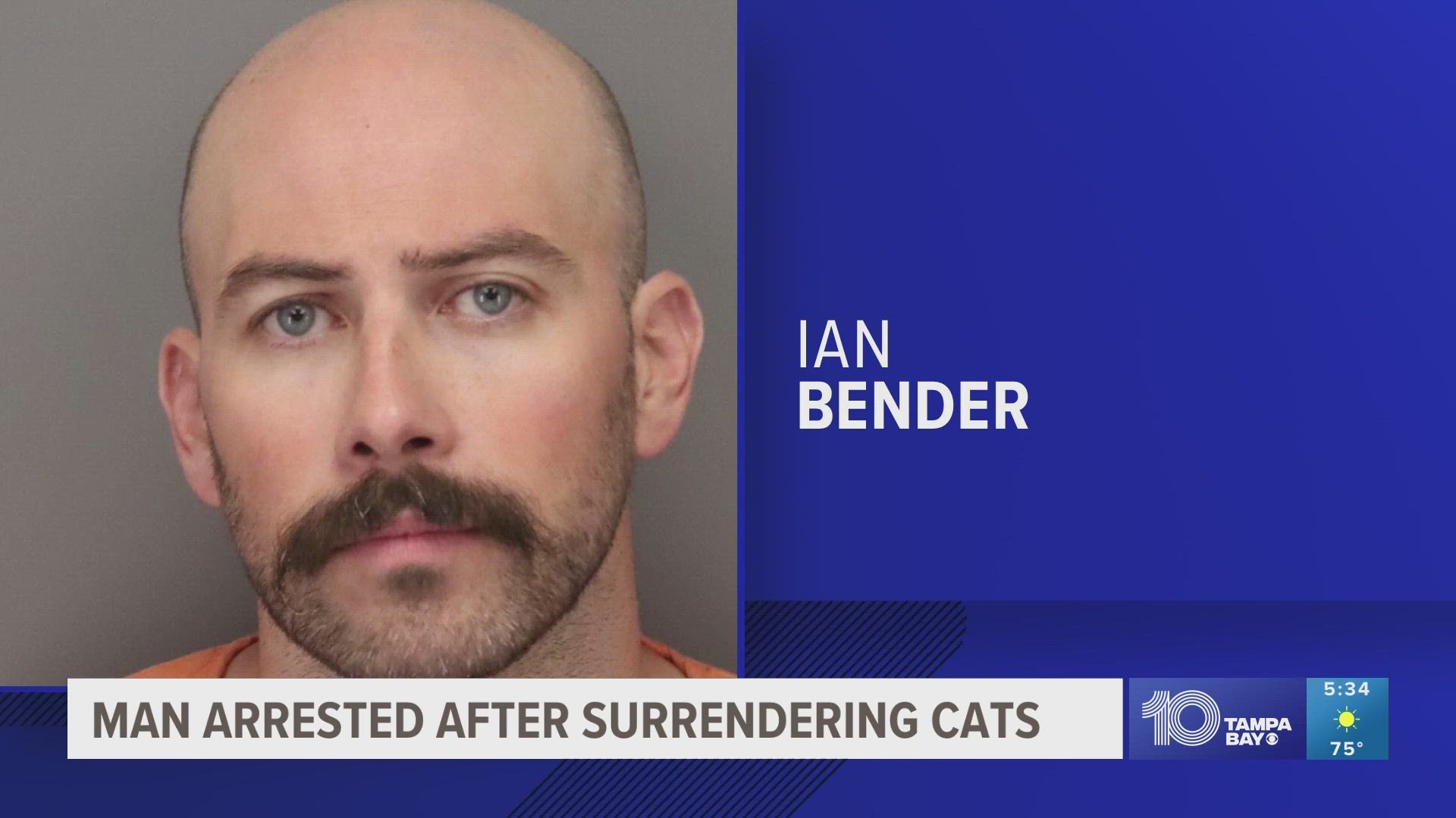 The man, who had been caring for his friend's seven cats, said he was “sick of caring for them,” according to a Pinellas County Sheriff’s Office news release.