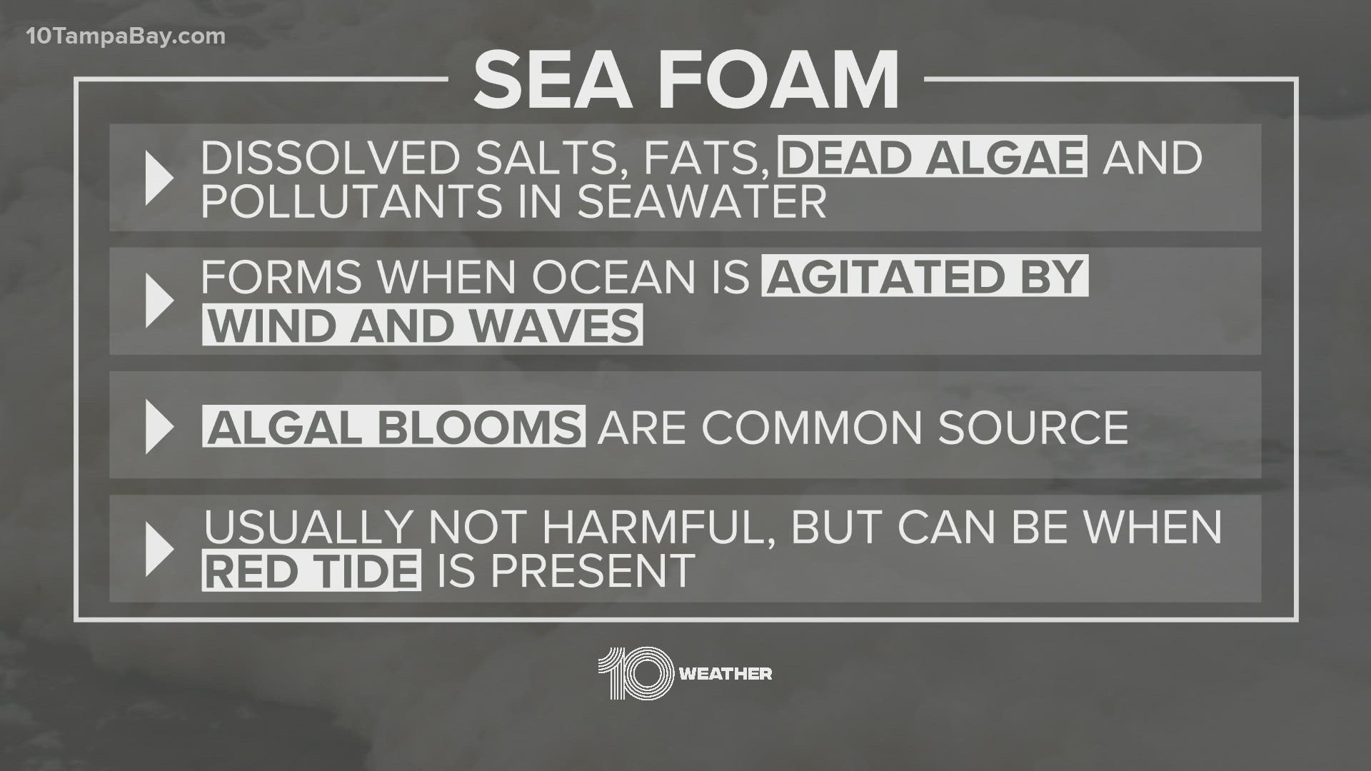 While playing with sea-foam might seem fun, it's best to leave it alone.