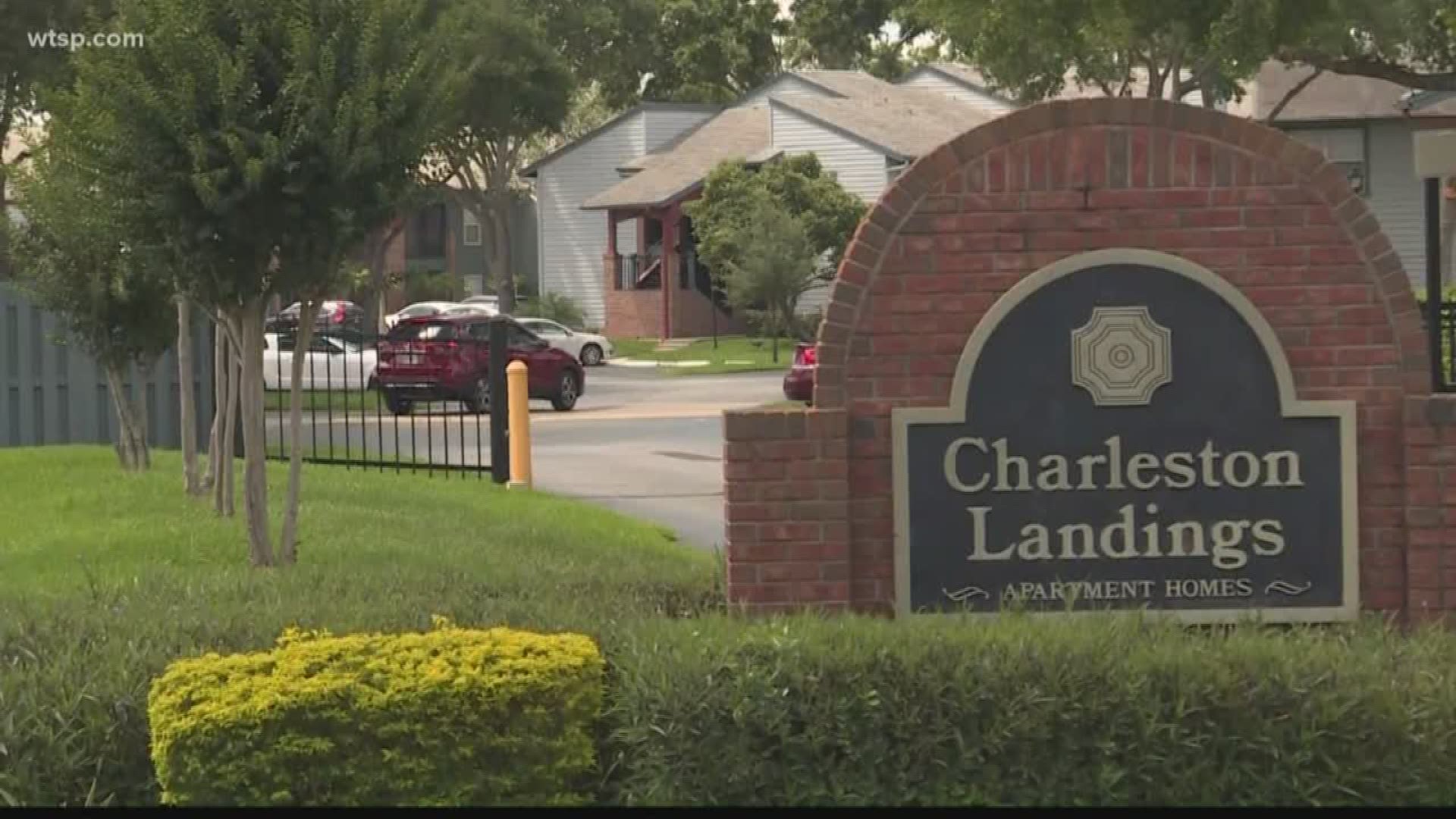 Hillsborough County deputies continue to investigate after a mother of four children was found dead at a Brandon apartment complex Tuesday afternoon.

Sheriff Chad Chronister says the sheriff's office received a 911 call around 12:25 p.m. from a witness who advised she heard about a boyfriend who harmed his girlfriend.

"She said she believed that she was dead, but wasn't sure if she was dead or not," Chronister said during a press conference. 

After checking several locations, deputies found a 25-year-old female victim, Chronister said, adding that the victim had succumbed to her injuries "as a result of this family violence incident."
