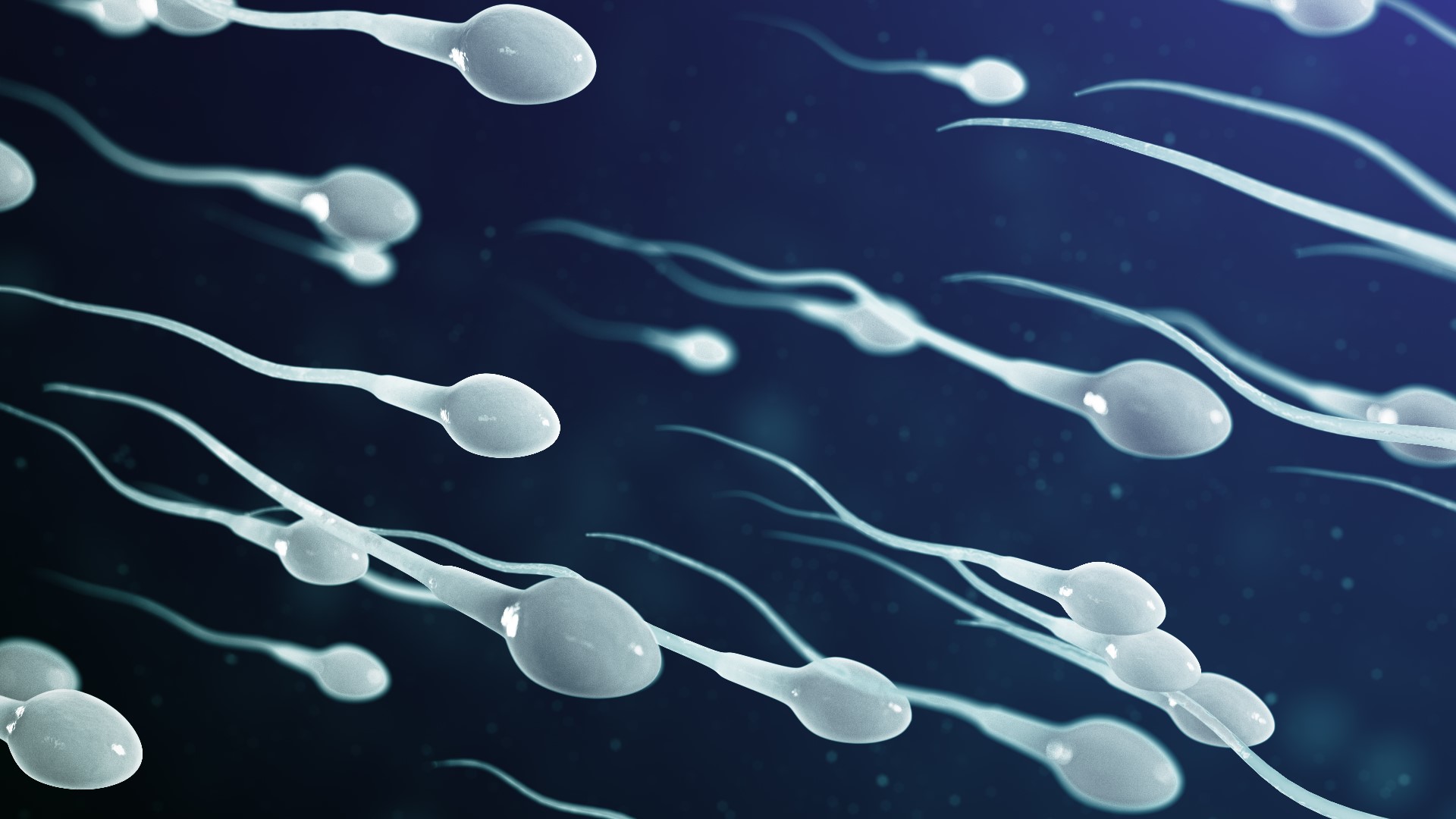 A 40-year-long study showed sperm counts have dropped by nearly half. Dr. Shanna Swan hypothesizes men will no longer produce sperm by 2045.