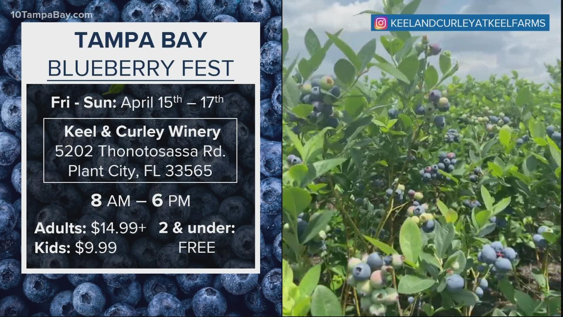 From a blueberry festival to sand sculptures, we've got a lot to do this weekend.