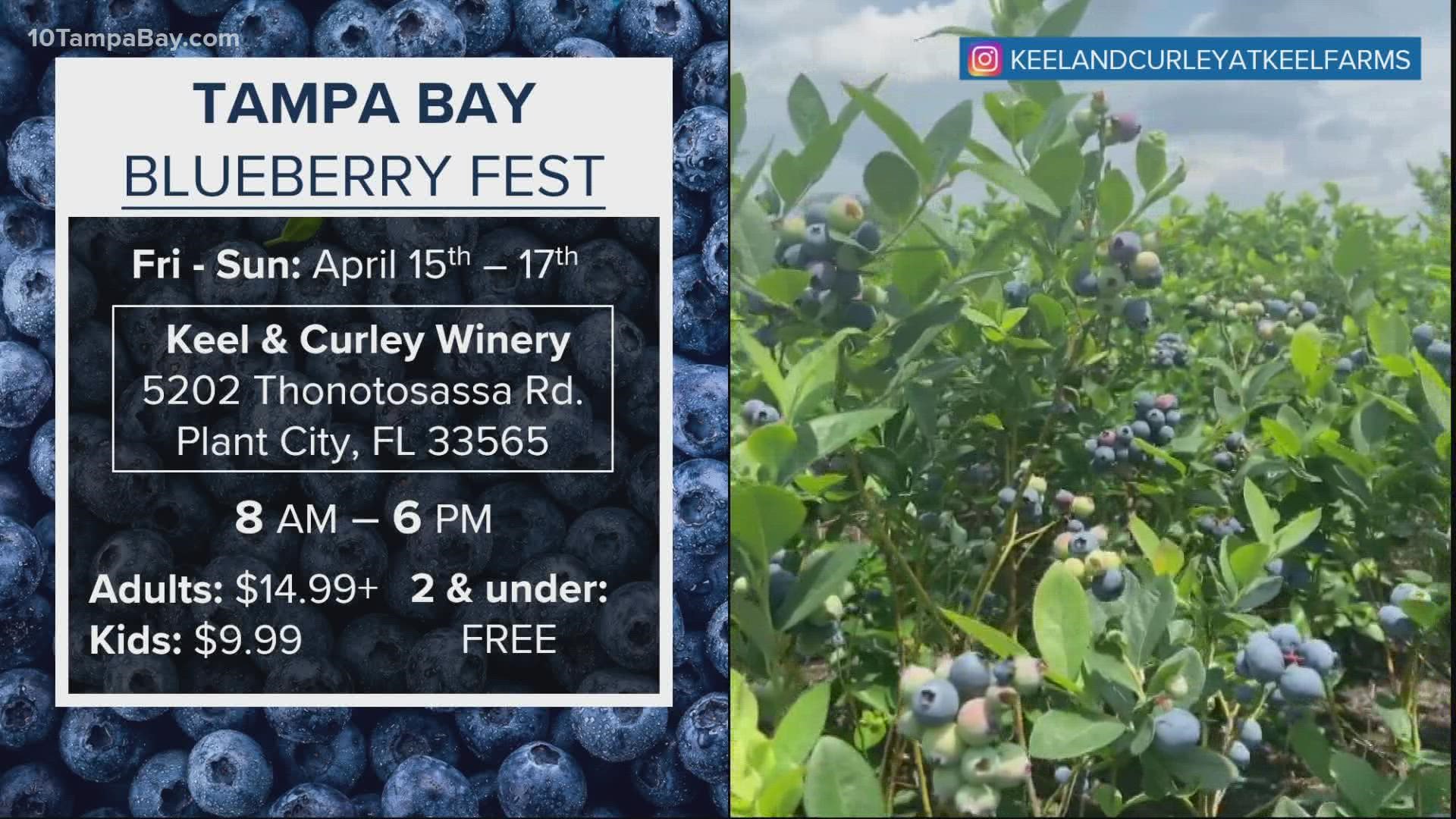 Tampa Bay Weekend Events Happening Near Me Tampa St Petersburg 